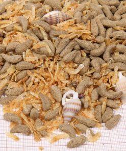 Alternative view of JBL ProTerra Molluscus 1 L